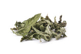 Organic White Tea with Mint